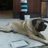 brianheaphy76 - @brianheaphy76 - TikTok