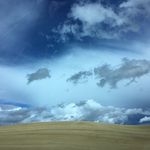 Brian Hebb - @hebophrenia - Instagram