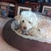 Brian Hedrick - Facebook