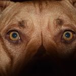 Brian Hedrick - @l2thefnb - Instagram