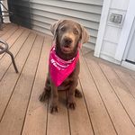 Brian Hedrick - @bad69bird - Instagram
