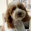 brianheffron - @brianheffron - TikTok