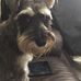 Brian Hegarty - Facebook
