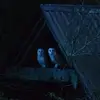Brian Hegarty - @brian.hegarty4 - TikTok