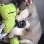 Brian Hegarty - @brian6302019 - Instagram
