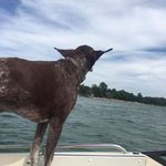 Brian Hein - @brianhein43 - Instagram