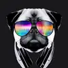 bryan.henley - @bryan.henley - TikTok