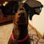 Brian Heron - @2tracker - Instagram