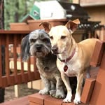 Brian Hills - @brainahills - Instagram