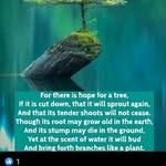 Brian Hills - @brianhills448 - Instagram