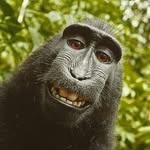 Brian Hoare - @brian_hoare1 - Instagram