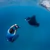 Brian Hoehn - @brian.hoehn - TikTok