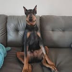 Brian Hoffman - @brianhoffman57 - Instagram