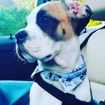 Brian Holder - @bholder41 - Instagram