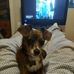 Brian Hollifield - Facebook