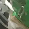 briannahollis - @briannahollis1 - TikTok