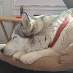 Brian Holly - @tiedyeuplife - Instagram