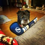 Brian Holmquist - @holmquistbrian - Instagram