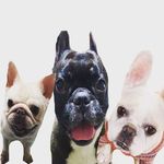 NOBUKO-S - @brianhoney1201 - Instagram