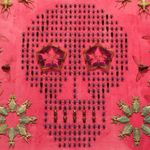 Brian Hoover - @brianhoover - Instagram
