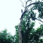 Brian Horning - @brian84279 - Instagram