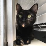 Brian and Riley Hoth - @hothcats - Instagram