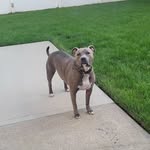 Brian Howley - @chappy340 - Instagram