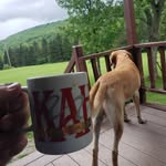 Brian Hoyt - @brian.hoyt.90 - Instagram