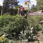 Brian Hoyt - @brian.hoyt - Instagram