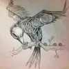 Brian Hoyt - @reciprocity_13 - TikTok