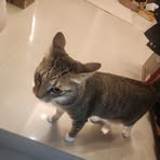 Brian Hsiao - Facebook