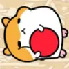 倉鼠 - @brianhsiao22 - TikTok