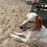 Brian Huffman - @brian_huffman1 - Instagram