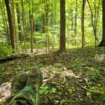 Brian Huffman - @brian.huffman.758 - Instagram