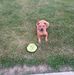 Brian Huffman - Facebook