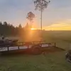 Brian Hughes - @brian.hughes440 - TikTok