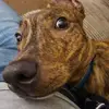 Brian Humphreys - @brian.humphreys - TikTok