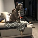 Brian Hutton - @brian.hutton.94 - Instagram