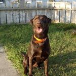 Brian Ingalls - @grumpyolphart - Instagram