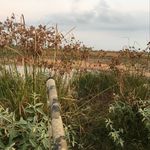 Brian Ingles - @meathead0680 - Instagram