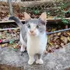 Brian Ingles - @brianingles - TikTok