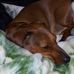 Brian Ivey - Facebook
