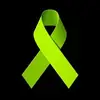 Brian Jeffcoat - @brian.jeffcoat - TikTok