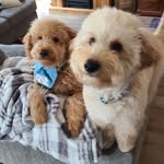 Brian Jeffers - @jeffersbrian - Instagram