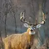 Brian Jenkins - @brianjenkins71 - TikTok