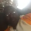 Brian Jenkins - @rocky0921 - TikTok