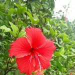Brian Jerry - @brianjerry159 - Instagram