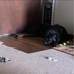 Brian Johanson - @brian.johanson.9 - Instagram