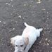 Braian Jovanovich - Facebook