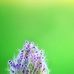Brian Musisi - Facebook